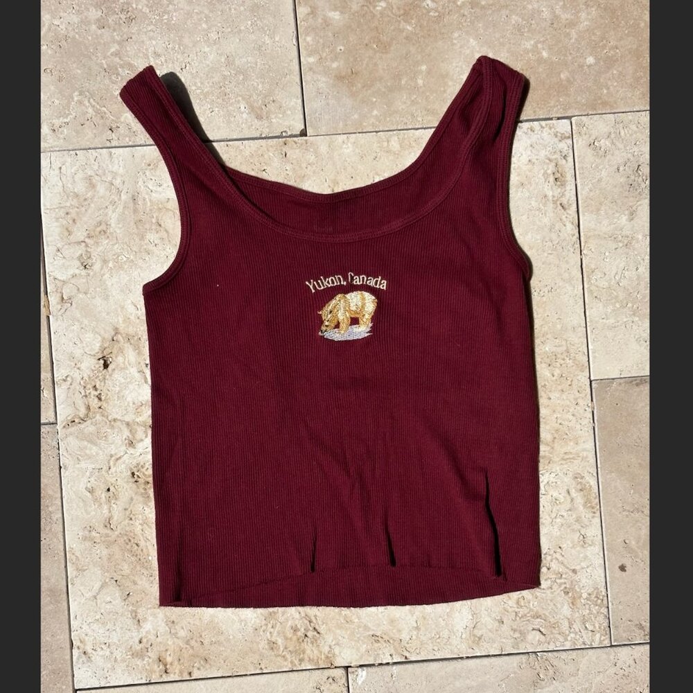 Brandy Melville Cropped Maroon Tank Top
